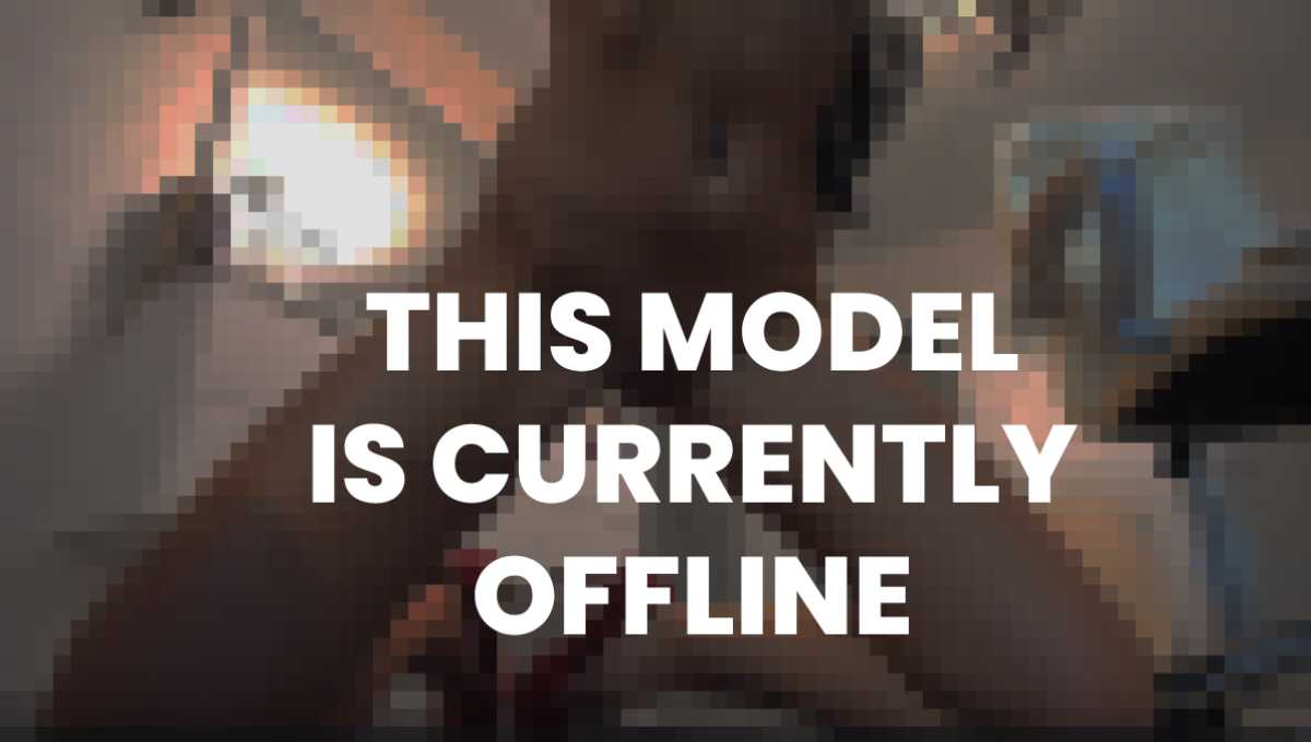 model is offline
